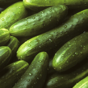 Cetrioli