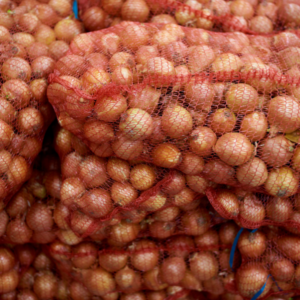 Cipolle