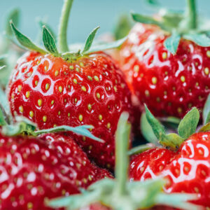Fragole