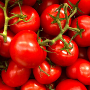 Pomodori